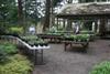 plant sale area-3